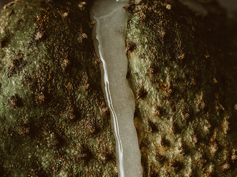 Life Transitions, Hormone Balance & Intimacy