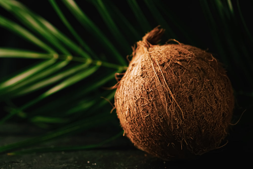 Let's not beat around the bush...The coconut might be extra virgin,but that doesn't mean you are.